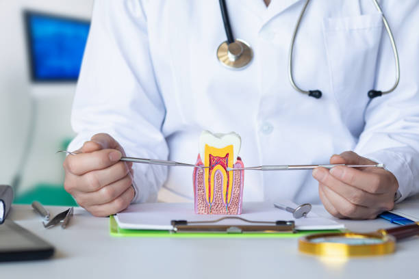 Best Emergency Tooth Extraction in North Crossett, AR